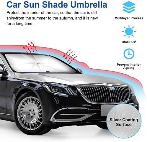 Car Windshield