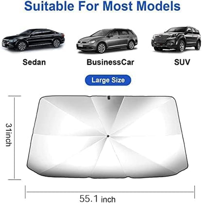 Car Windshield