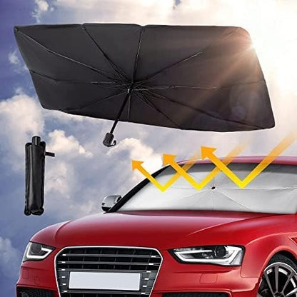 Car Windshield