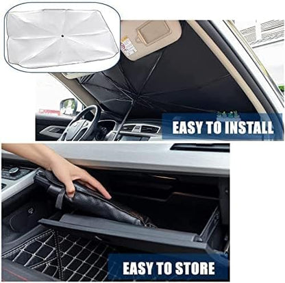 Car Windshield