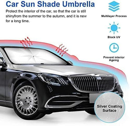 Car Windshield