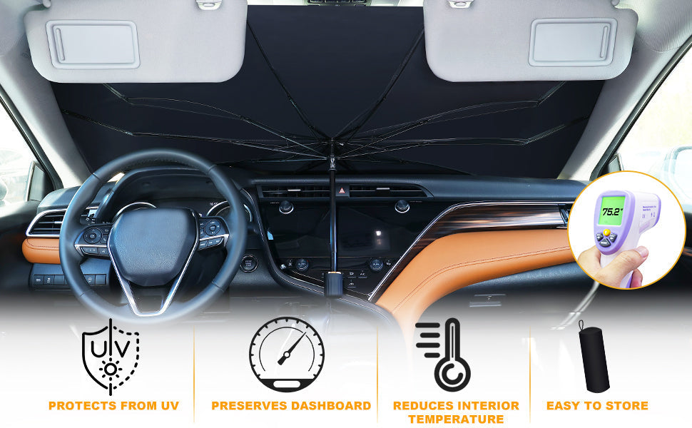 Car Windshield